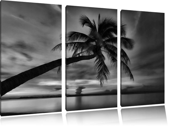 Pixxprint Monocrome, Palme am Meer mit Sonnenuntergang 3-Teiler Leinwandbild 120x80 Bild auf Leinwan