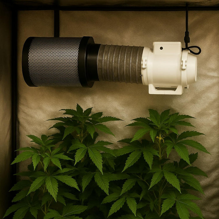 Weedness Grow Abluft Aktivkohlefilter Set 405-520 m³ Belüftungsset - Indoor Anbau Lüftungsset Rohrve