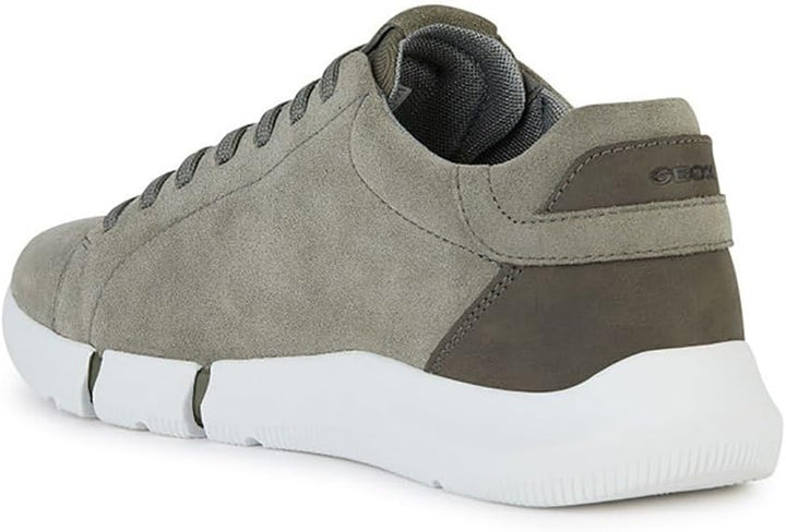 Geox Herren U Adacter A Sneakers 42 EU Sage, 42 EU Sage