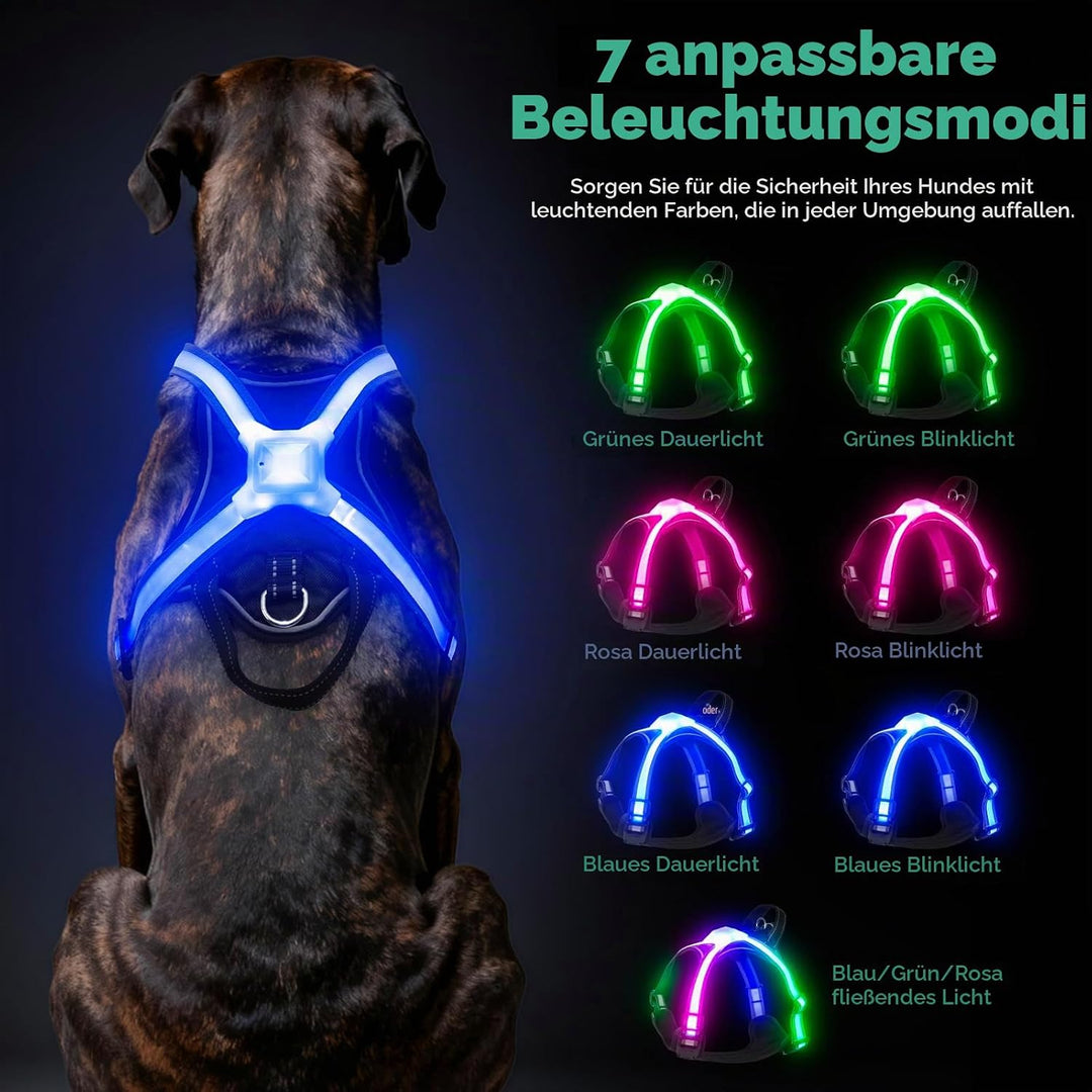 LED Hundegeschirr Leuchtend, Multicolor Reflektierendes Leuchthundegeschirr für Nacht, USB-C Wiedera
