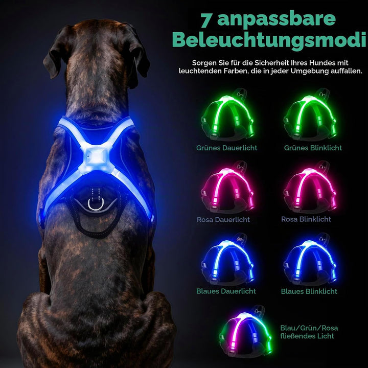LED Hundegeschirr Leuchtend, Multicolor Reflektierendes Leuchthundegeschirr für Nacht, USB-C Wiedera