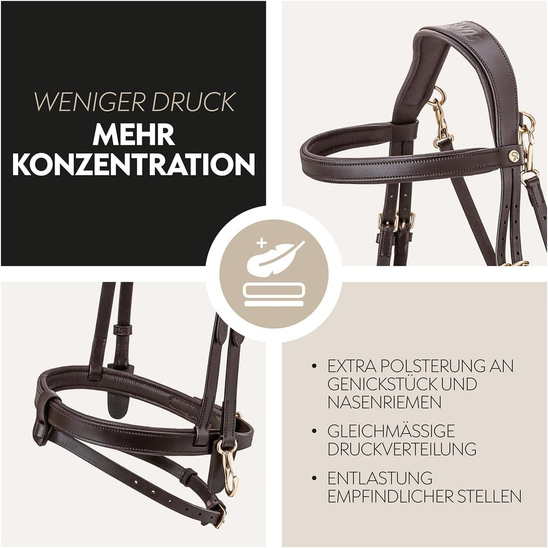 SUNRIDE englisch kombinierte Trense Berlin mit Zügel, aus weichem Echtleder mit Clip-Verschluss, ver