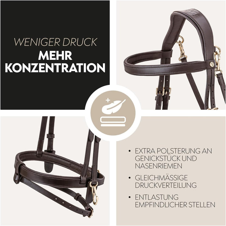 SUNRIDE englisch kombinierte Trense Berlin mit Zügel, aus weichem Echtleder mit Clip-Verschluss, ver