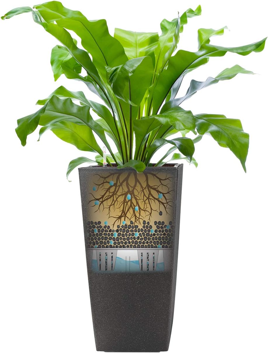 Pflanzwerk® ÖKOSYSTEM Pflanzkübel Square - Blumentöpfe Übertöpfe mit BEWÄSSERUNGSSYSTEM - 19x10x10cm