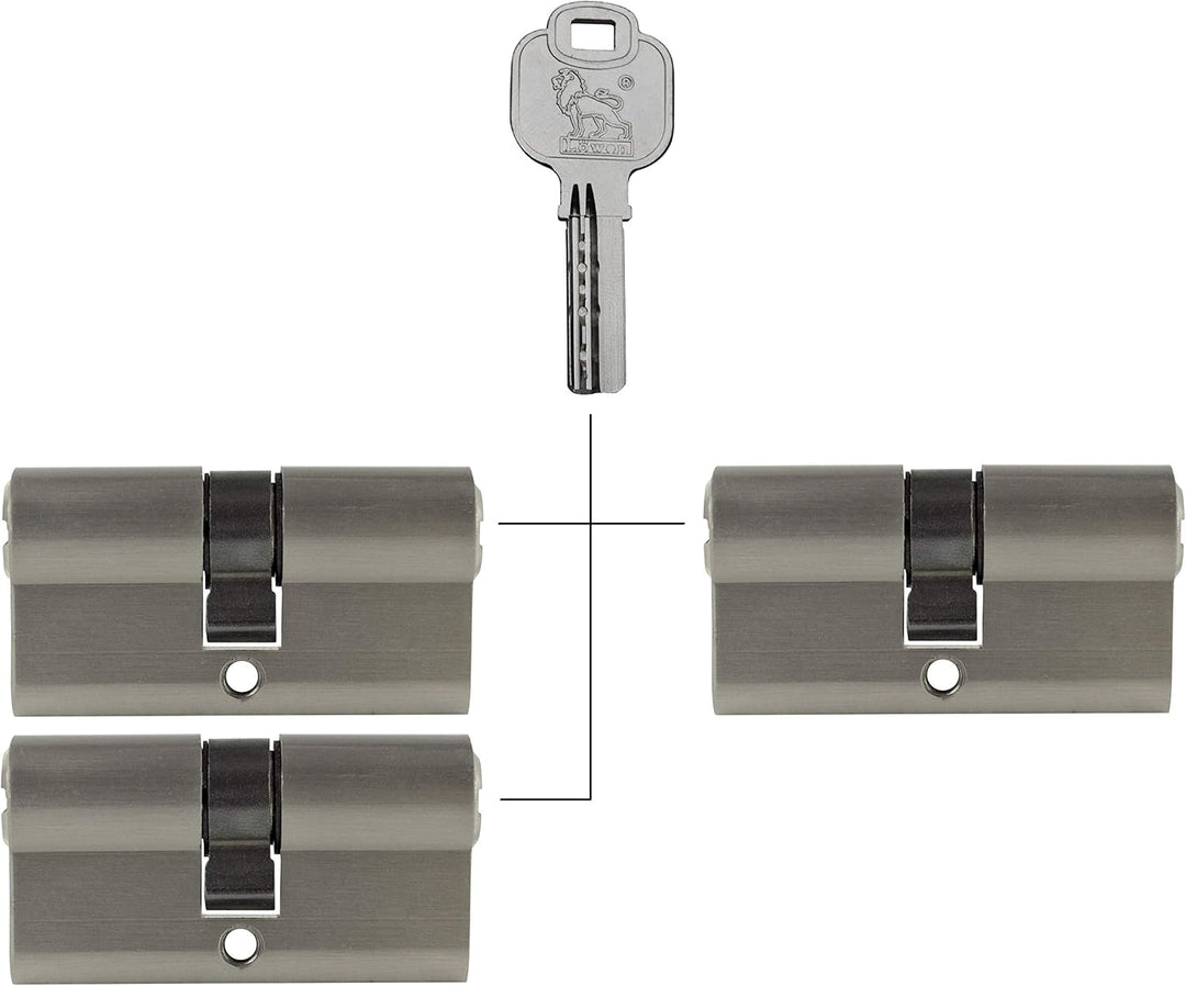 Löwen Sicherheitsschloss 3x Gleichlauf-Zylinderschlösser 60 mm PZ 30 x 30 mit 10 Schlüsseln