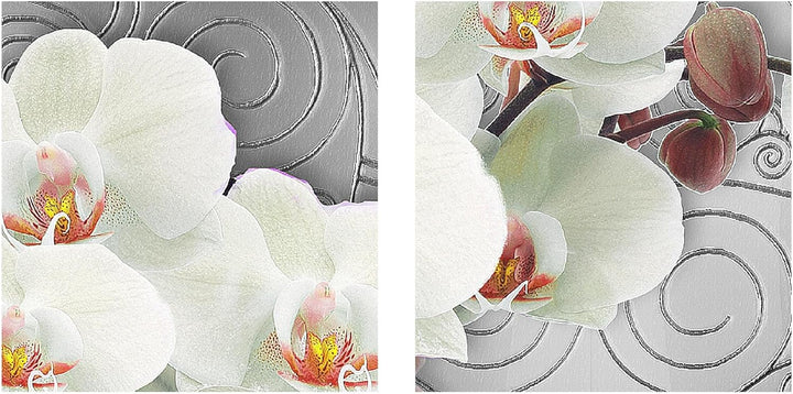 Runa Art Bild Modern Blumen Orchidee - Made in Germany - Wandbilder Abstrakt Grau Weiss 4 Teilig 204