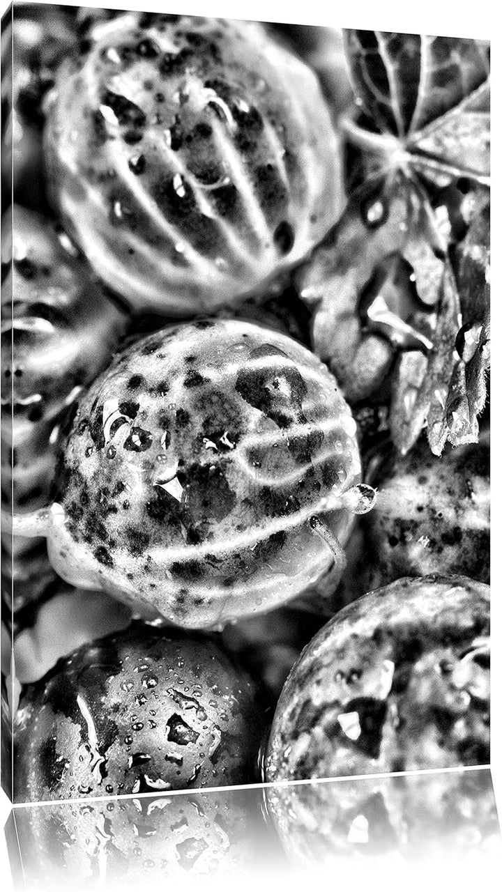 Pixxprint Leckere Stachelbeeren/Format: 100x70cm / Leinwandbild fertig bespannt Wandbild Kunstdruck,