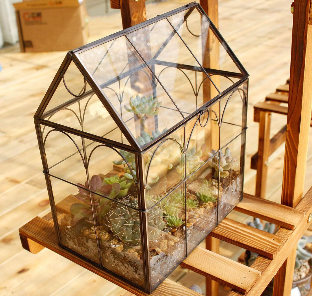 ElegantLife Geometrisches Terrarium aus Glas für Sukkulenten und Luftpflanzen (Keine Pflanze im Lief