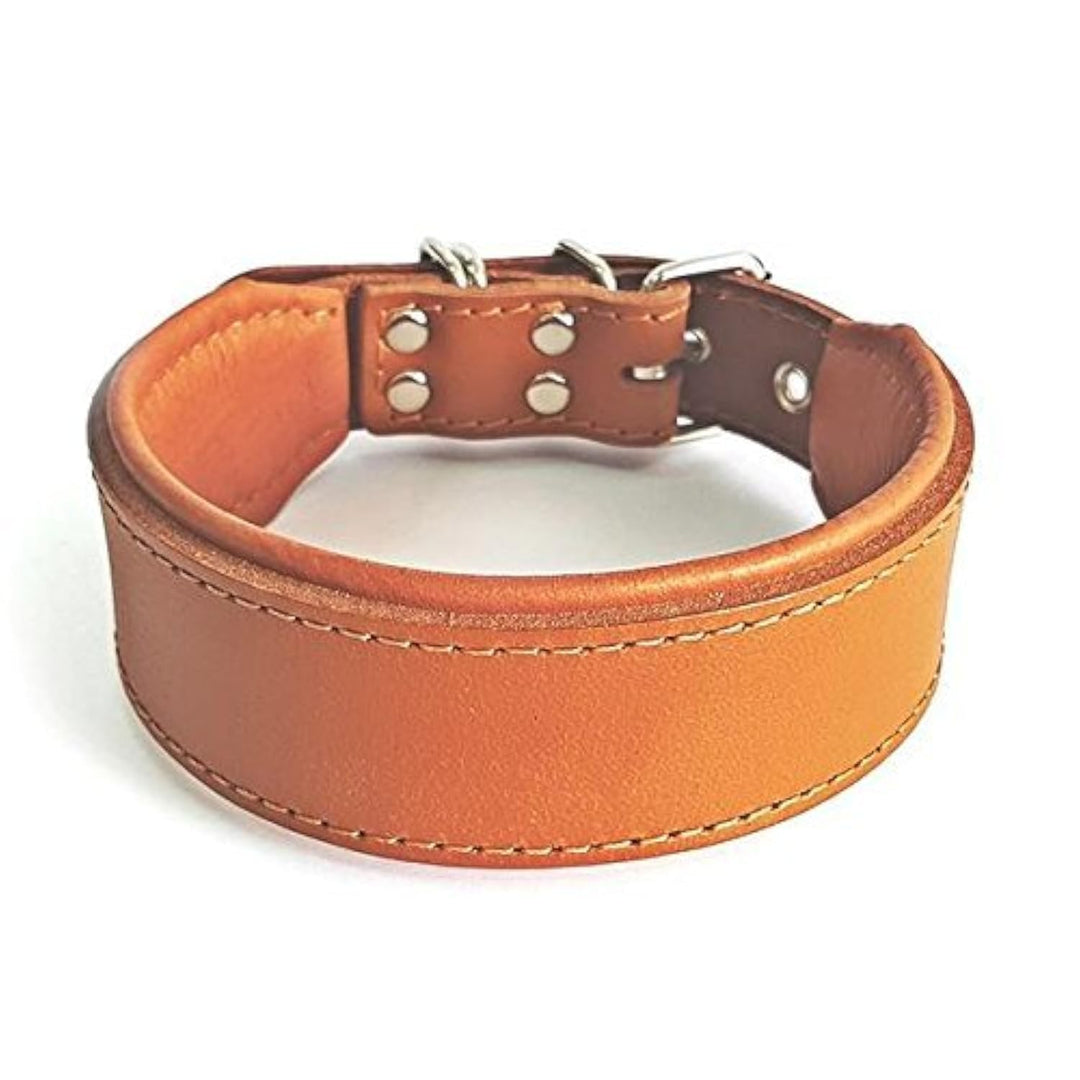 Bestia™ "Classic Echtleder Hundehalsband. 100% Leder. Weich gepolstert. TOP Qualität! XL- Halsumfang