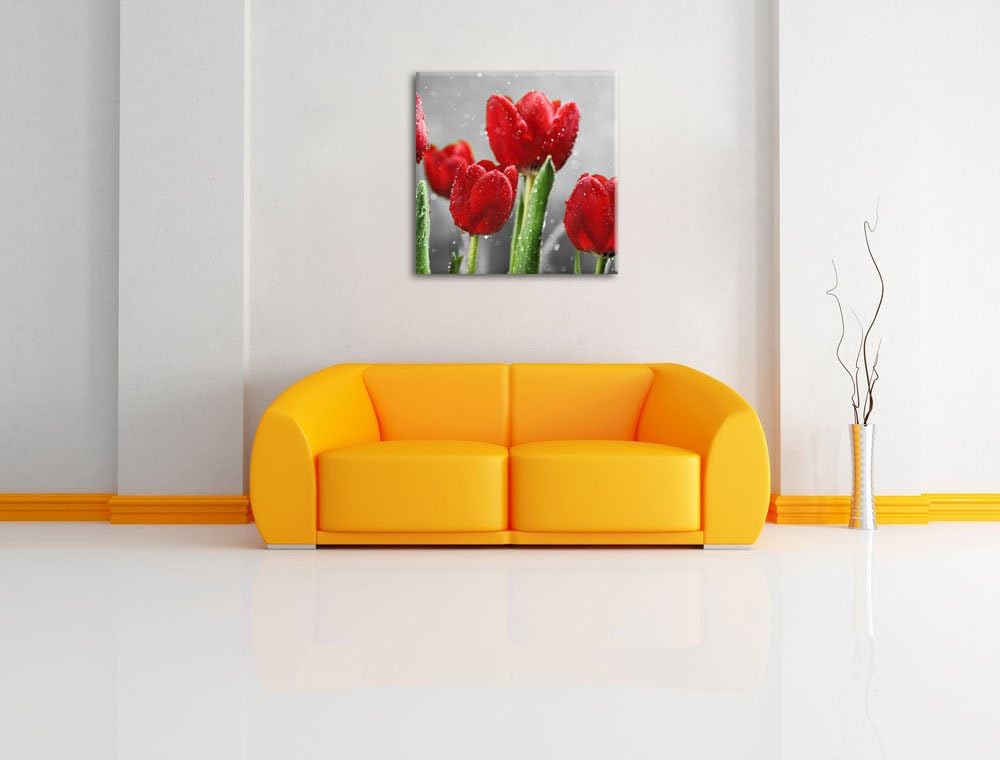 Pixxprint Rote Tulpen mit Tropfen bedeckt Schwarz/Weiss, Format: 70x70 auf Leinwand, 70x70