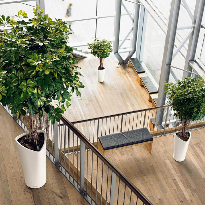 LECHUZA DELTA Premium 40 scarlet rot hochglanz 15559 Scarlet Rot Hochglanz 39x39x75.5 cm Single, Sca