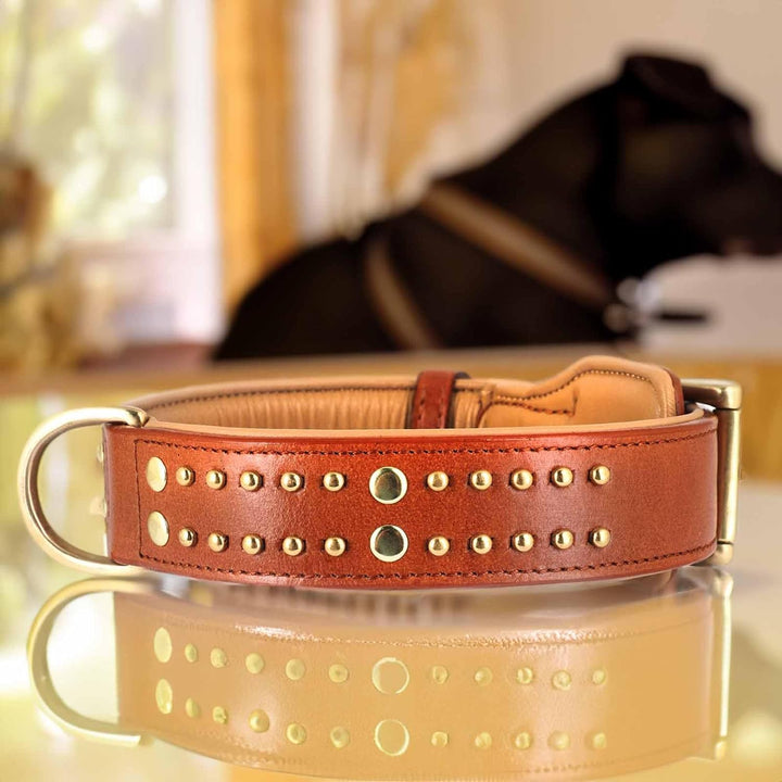 Monkimau Halsband für Hunde aus echt Leder mit Nieten gepolstert verstellbar L 41-50 cm M-L: 35mm x