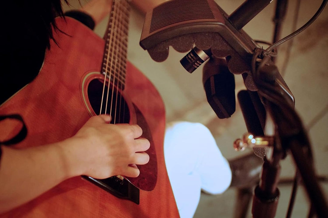 sE Electronics GuitaRF Akustikschirm für Gitarrenboxen, GuitaRF