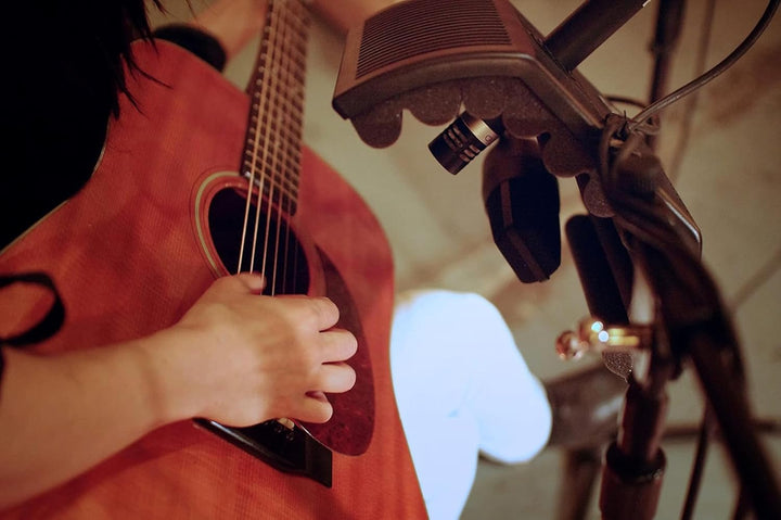 sE Electronics GuitaRF Akustikschirm für Gitarrenboxen, GuitaRF