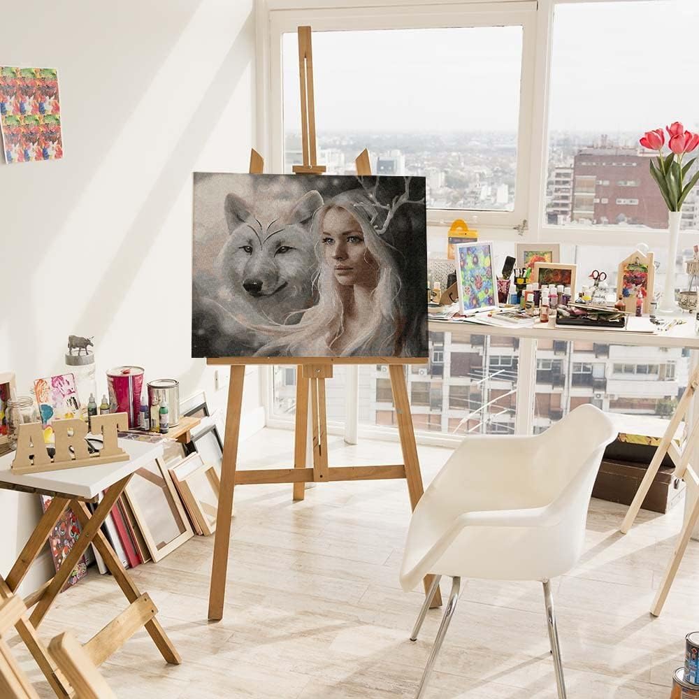 Artnapi Malen nach Zahlen Erwachsene mit Rahmen | DIY Handgemalt | Die Schneekönigin | Kit für Anfän
