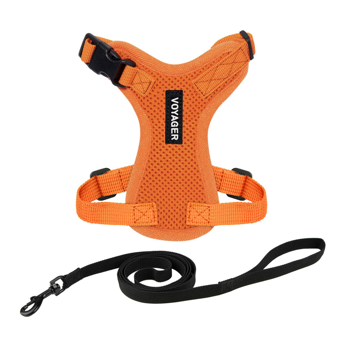 Best Pet Supplies Voyager Step-In Lock Haustiergeschirr – Allwetter-Netz, verstellbares Step-in-Gesc