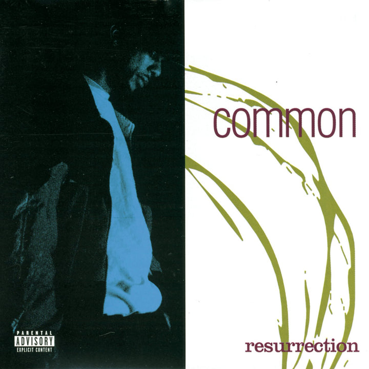 Resurrection  explicit_lyrics, Vinyl