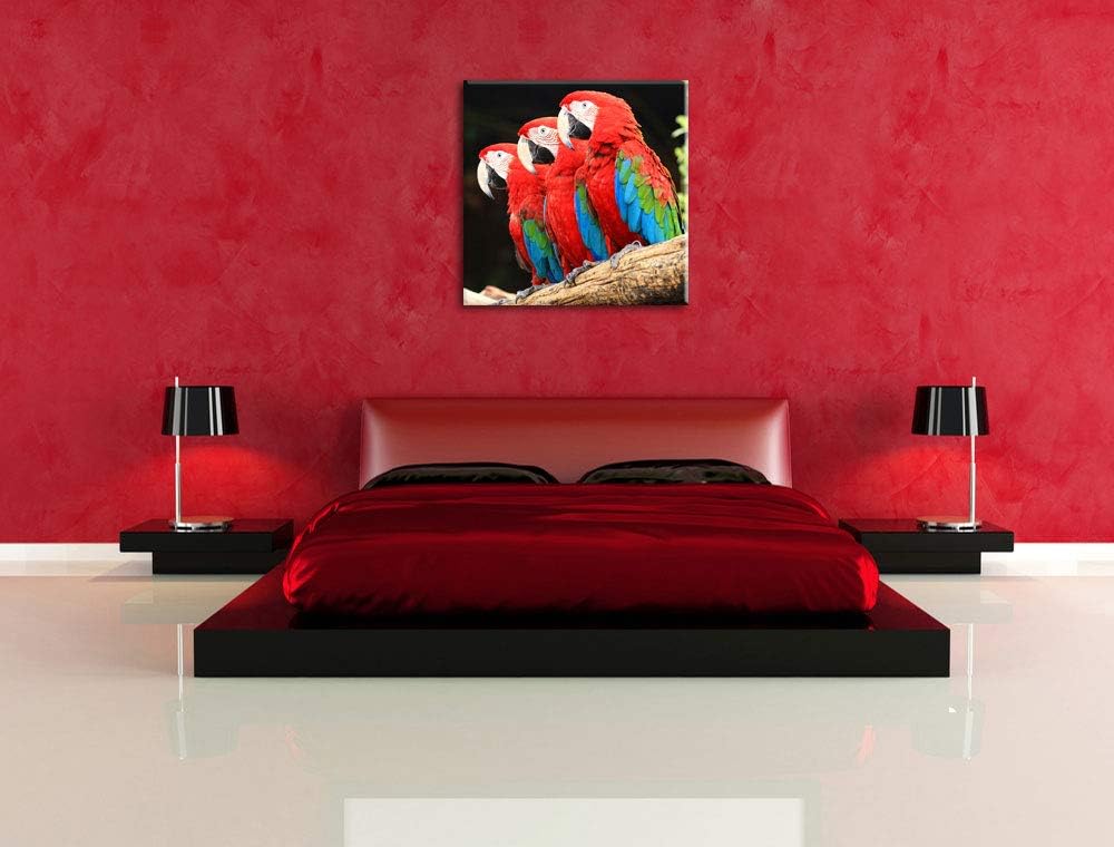 Papageien auf AST, Format: 70x70 auf Leinwand, XXL riesige Bilder fertig gerahmt mit Keilrahmen, Kun