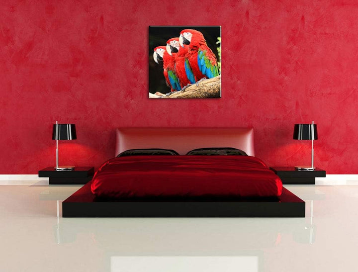 Papageien auf AST, Format: 70x70 auf Leinwand, XXL riesige Bilder fertig gerahmt mit Keilrahmen, Kun