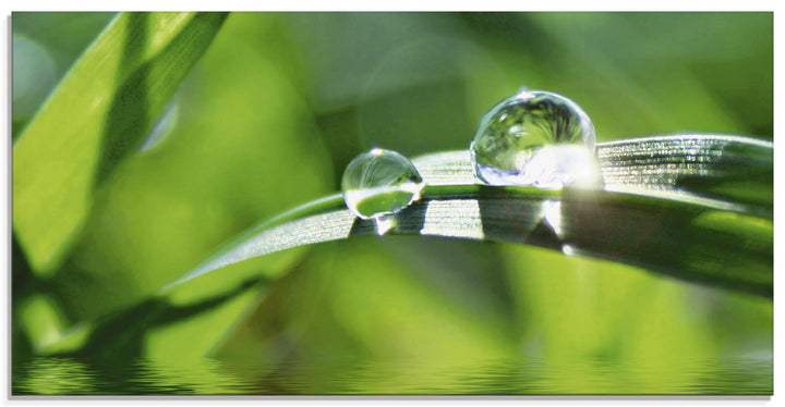 ARTland Glasbilder Wandbild Glas Bild einteilig 60x30 cm Querformat Natur Botanik Pflanzen Gräser Wa