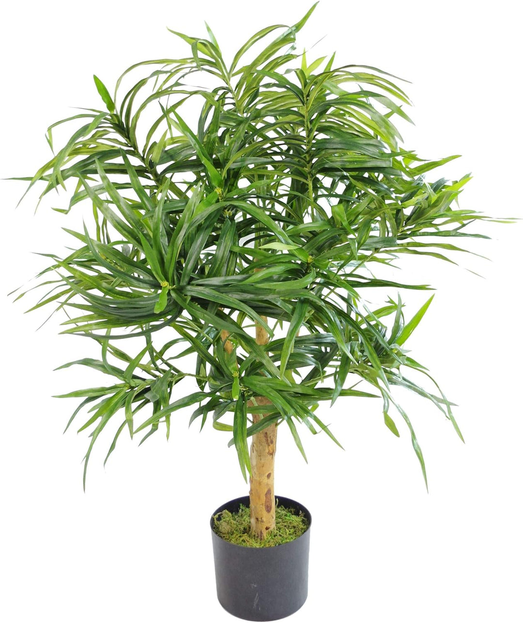 Leaf Dracaena Kunstblatt, 100 cm LEAF-7167 100cm Dracaena 100cm Dracaena, 100cm Dracaena 100cm Draca