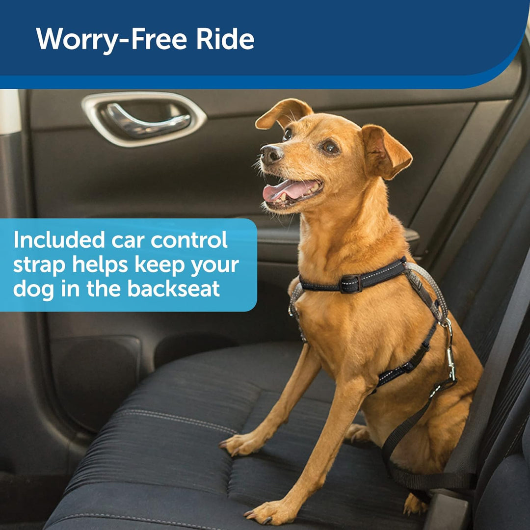 PetSafe 3-in-1-Geschirr mit Zwei-Punkt-Steuerleine – kein Ziehen – klein – schwarz – verstellbar sch