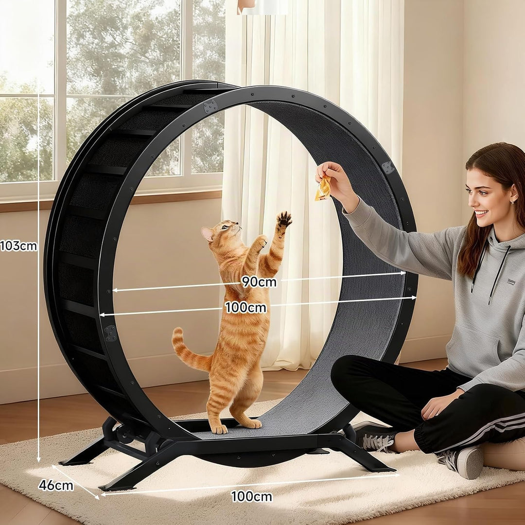 GTPLAYER Katzenlaufrad, laufrad Katze, Extra grosser 100 cm, ultraleises Laufrad mit Abnehmbarer Tep