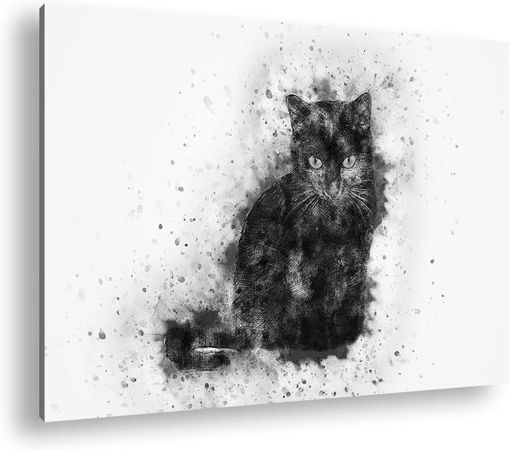deyoli Katze Hauskatze Format: 80x60 Effekt: Schwarz&Weiss als Leinwandbild, Motiv fertig gerahmt au