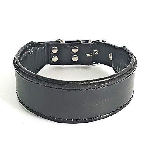 Bestia™ "Classic Echtleder Hundehalsband. 100% Leder. Weich gepolstert. TOP Qualität! S- Halsumfang