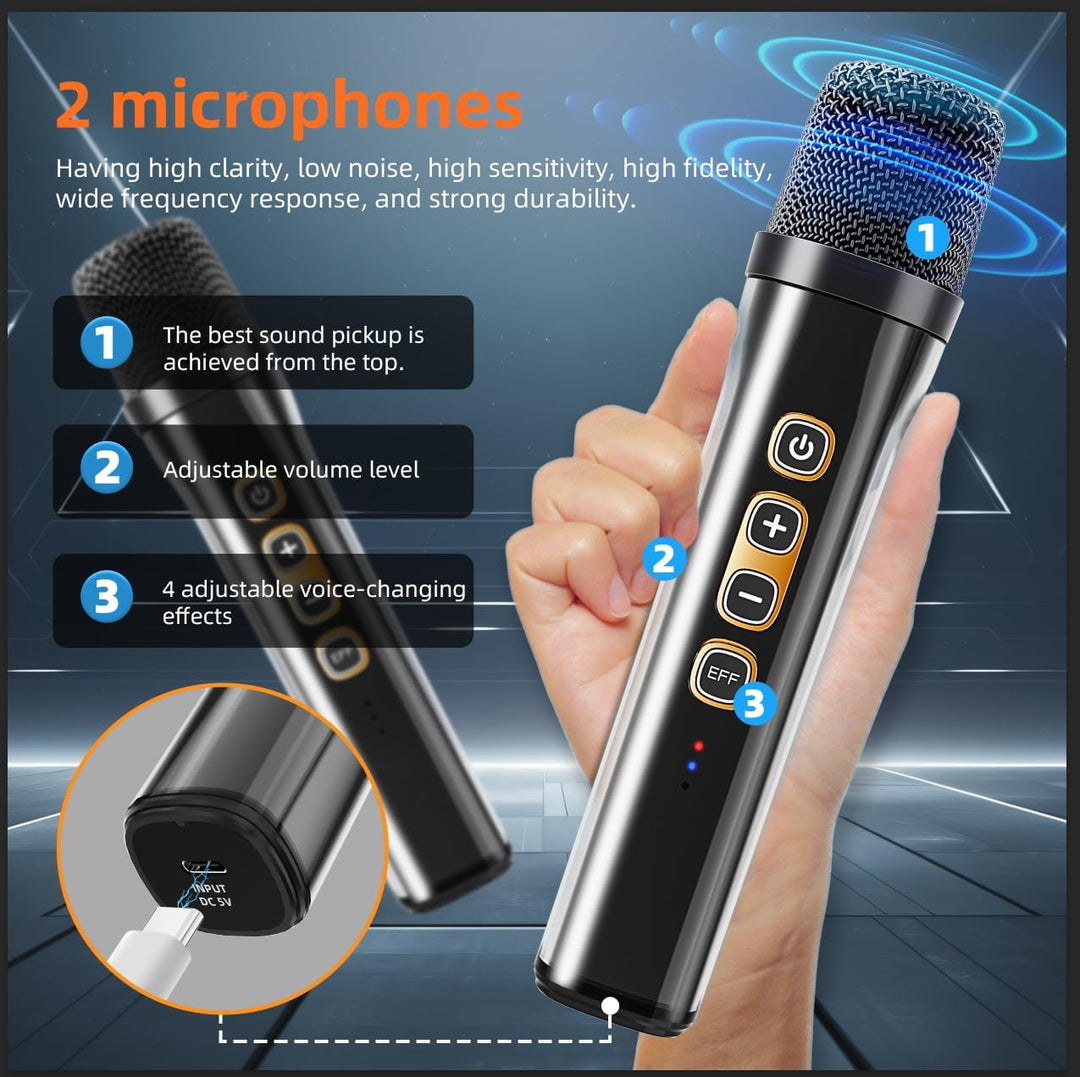 LILUOSUO Karaoke Maschine mit zwei drahtlosen Mikrofonlautsprechern, einem tragbaren Bluetooth PA-Sy