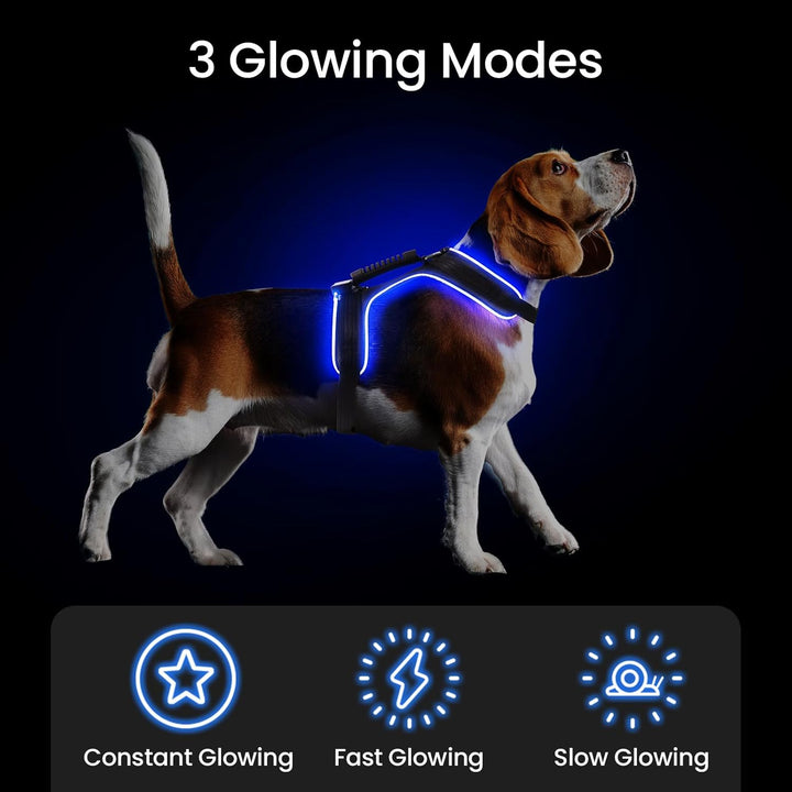 MASBRILL LED Hundegeschirr Leuchtend, Leuchtgeschirr für Hunde Aufladbar Verstellbar LED Leucht Brus
