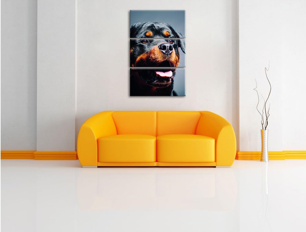Pixxprint Treuer Rottweiler als Leinwandbild | Grösse: 3 Teilig (120x80) | Wandbild| Kunstdruck | fe