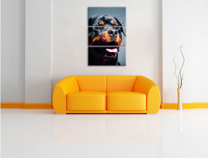 Pixxprint Treuer Rottweiler als Leinwandbild | Grösse: 3 Teilig (120x80) | Wandbild| Kunstdruck | fe