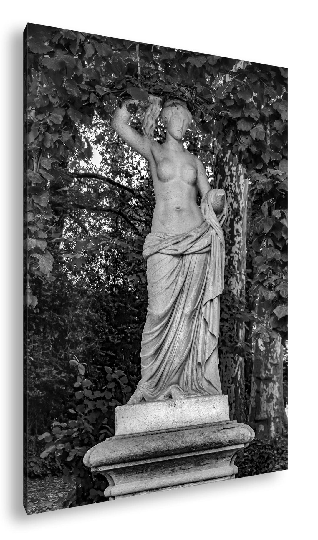 deyoli Skulptur der schönen Aphrodite Format: 80x60 als Leinwand, Effekt: Schwarz&Weiss, Motiv ferti