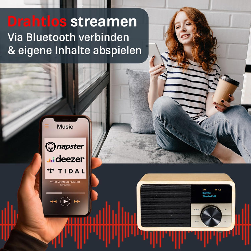 Kathrein DAB+ 1 Mini I DAB Plus Radio mit Akku I Digitalradio DAB+ & UKW mit Bluetooth, Aux 3,5mm I