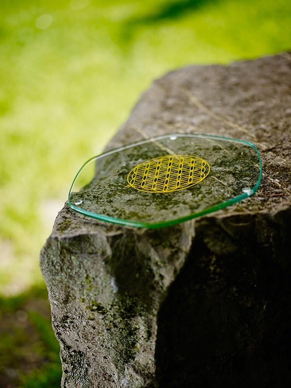 Energy Plate 22 cm