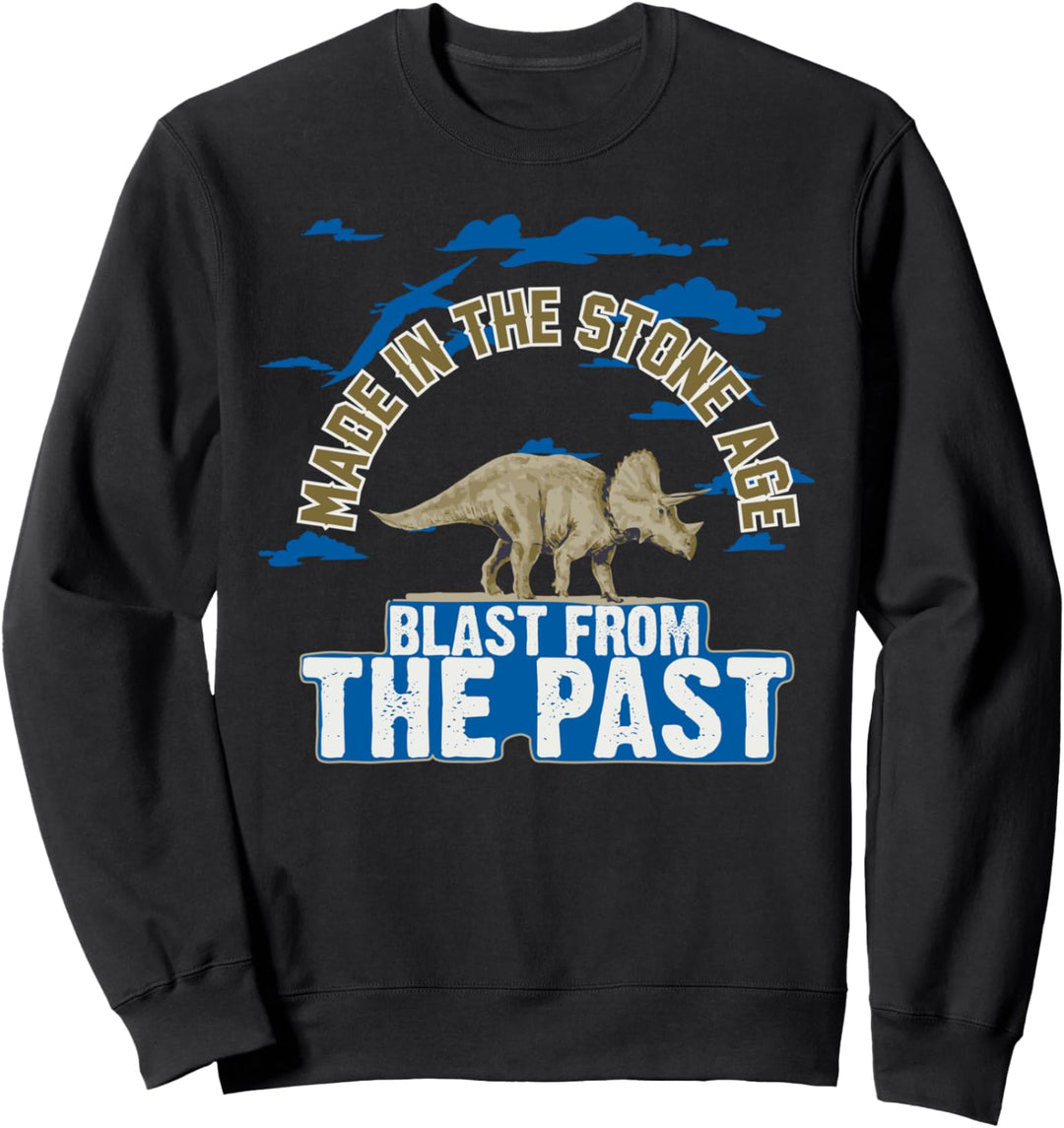 Dino Dinosaurier aus Vergangenheit T-Rex ausgestorbene Tiere Sweatshirt