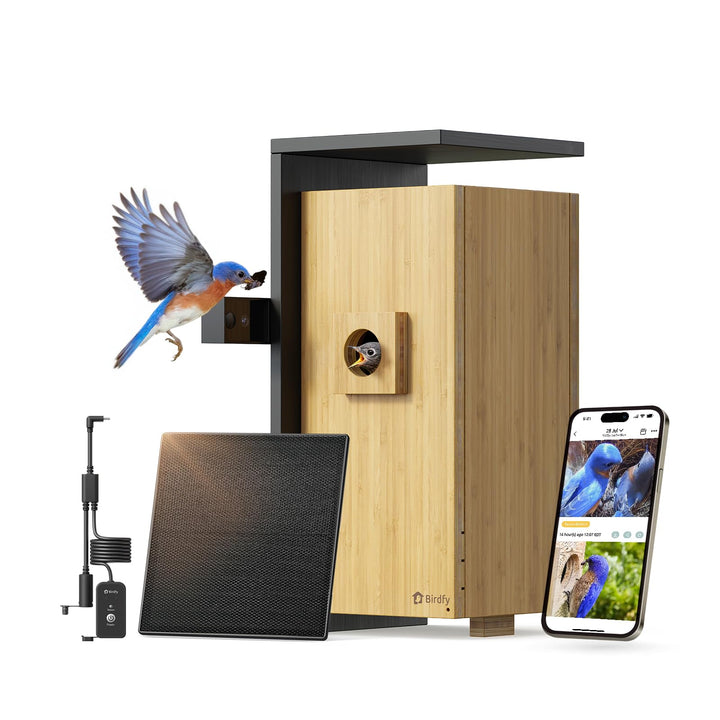 Birdfy Smart Vogelhaus mit Doppelkamera für Live Vogelbeobachtung, 1080P Bambus Nistkasten mit Kamer