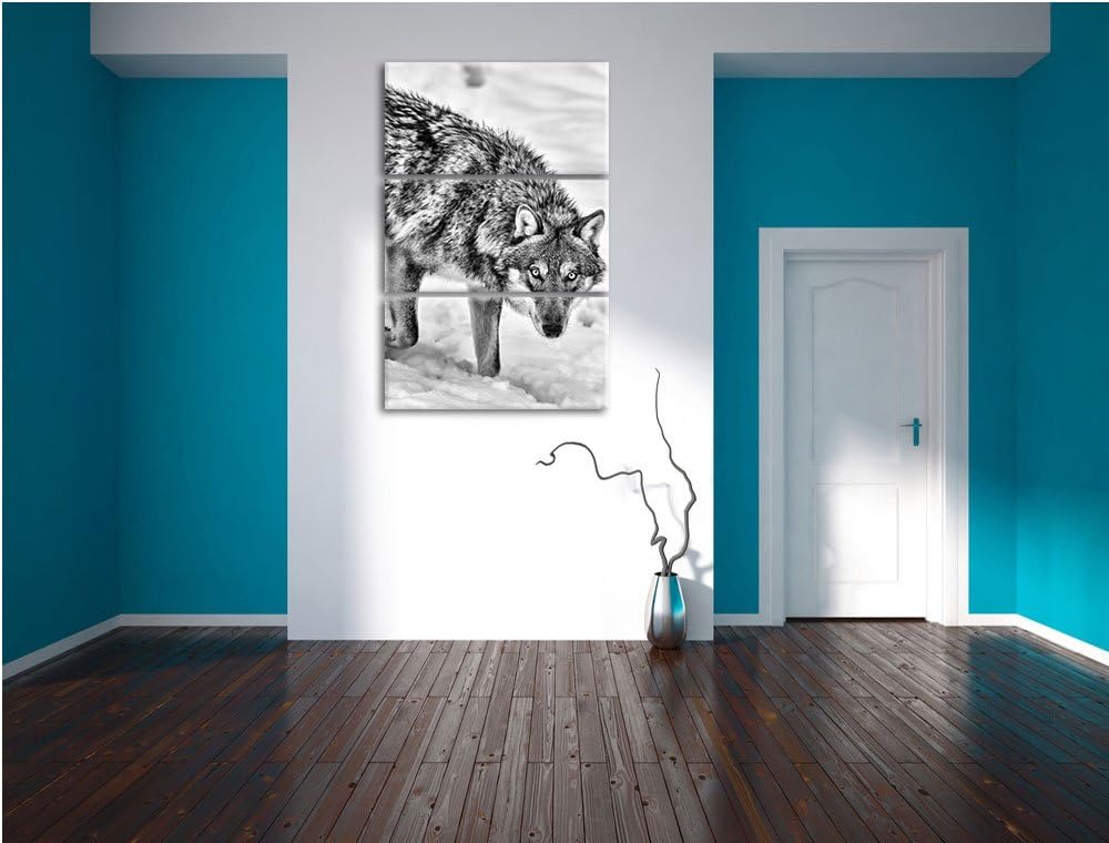 Pixxprint seltener Wolf im Schnee als Leinwandbild/Grösse: 3 Teilig (120x80) cm/Wandbild/Kunstdruck/