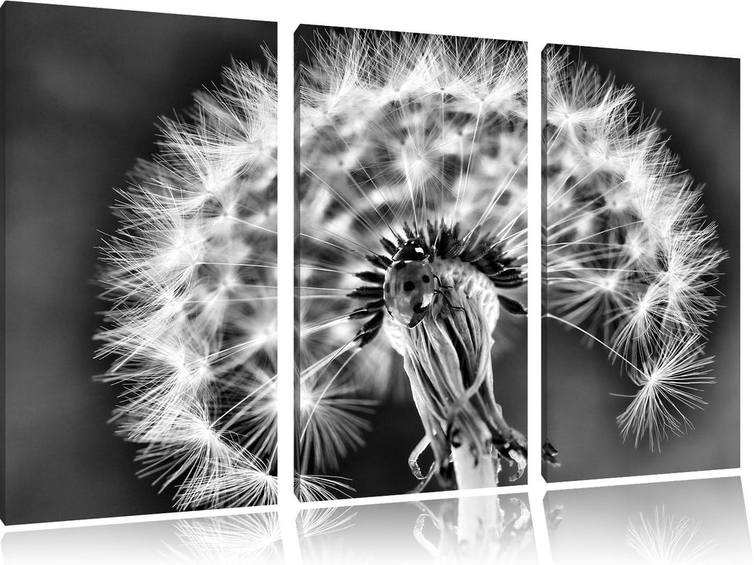 Pixxprint Marienkäfer auf Pusteblume/Format: 3-Teiler (120x80cm) cm/Leinwandbild fertig bespannt Wan