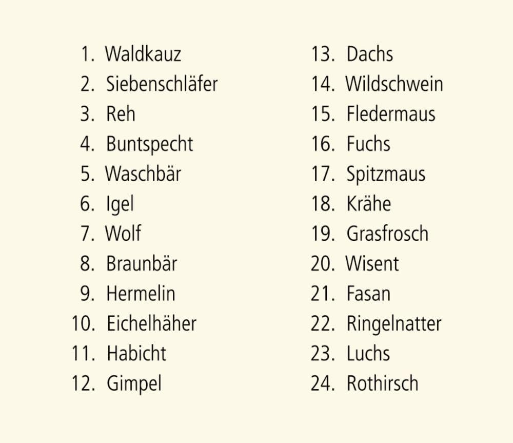 Sound-Adventskalender – Hört ihr die Tiere im Winterwald?: Mit 24 Tierstimmen hinter den Türchen, Ka