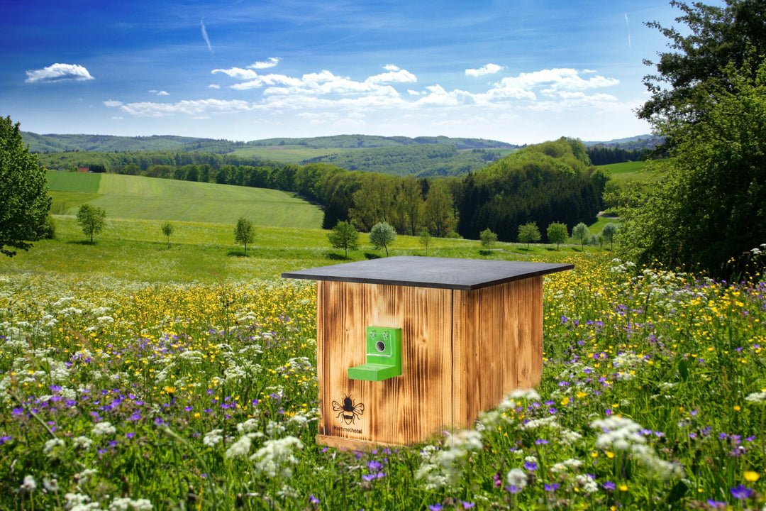 Hummelkasten Hummelhaus Hummelhotel Hummelhäuschen Hummelnistkasten Garten edelgeflammt geflammt mit