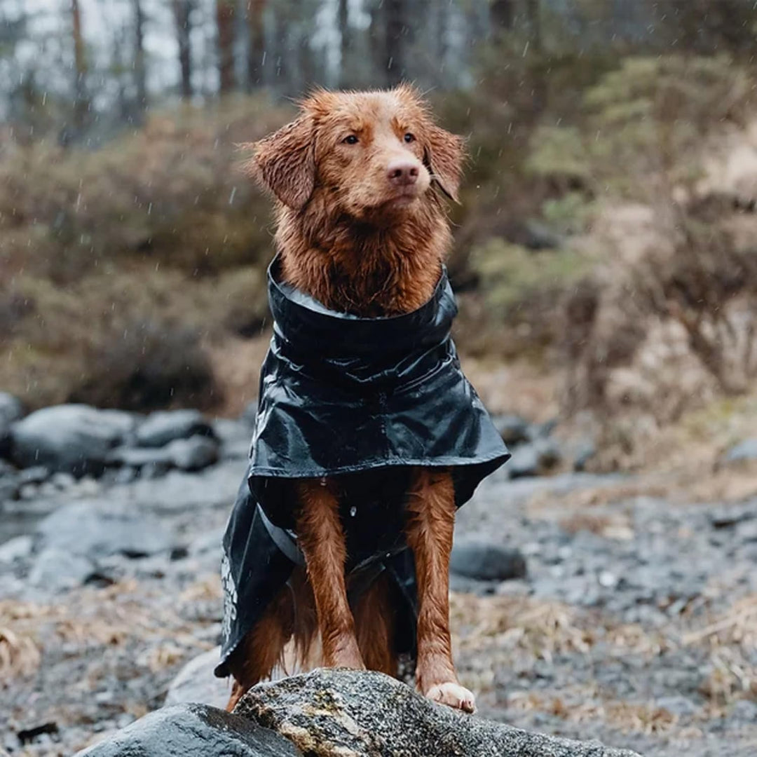 Hurtta Monsoon Hunderegenmantel, Wasserdicht Regenjacke für Hunde mit Reflektoren, Blackberry Schwar