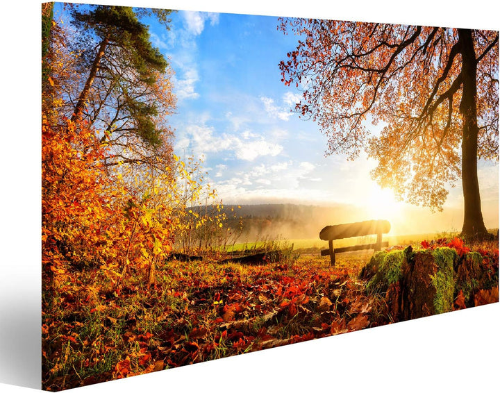 Bild Bilder auf Leinwand Herbstlandschaft mit der Sonne, die warm eine Bank unter einem Baum, vielen