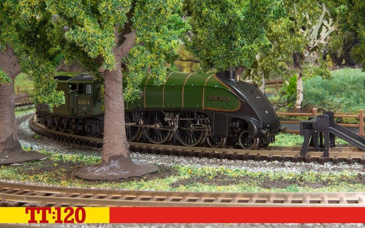 Hornby TT:120 Modelleisenbahn TT3008M BR Klasse A4 4-6-2 60016 „Silver King“ – Lokomotiven der 4. Är