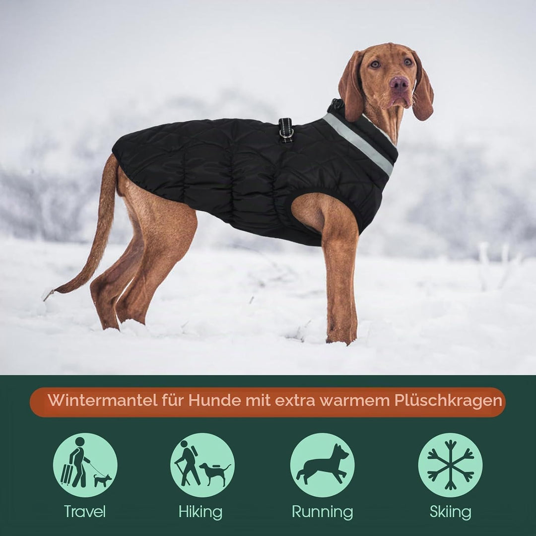 Kuoser Winter Hundejacke für mittelgrosse Hunde, Wasserdichter &amp; Winddichter Hundemantel mit Fleecef