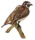 Goebel Vogel des Jahres 2023 Figur Braunkehlchenpaar