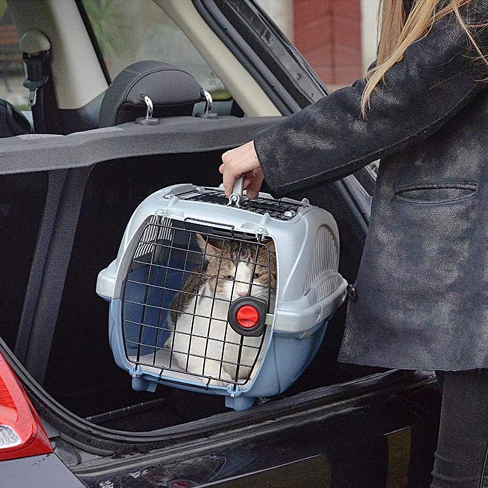 Ferplast Transportbox für Haustiere Hundebox für kleine Hunde und Katzen Atlas deluxe 10 Open, Trans