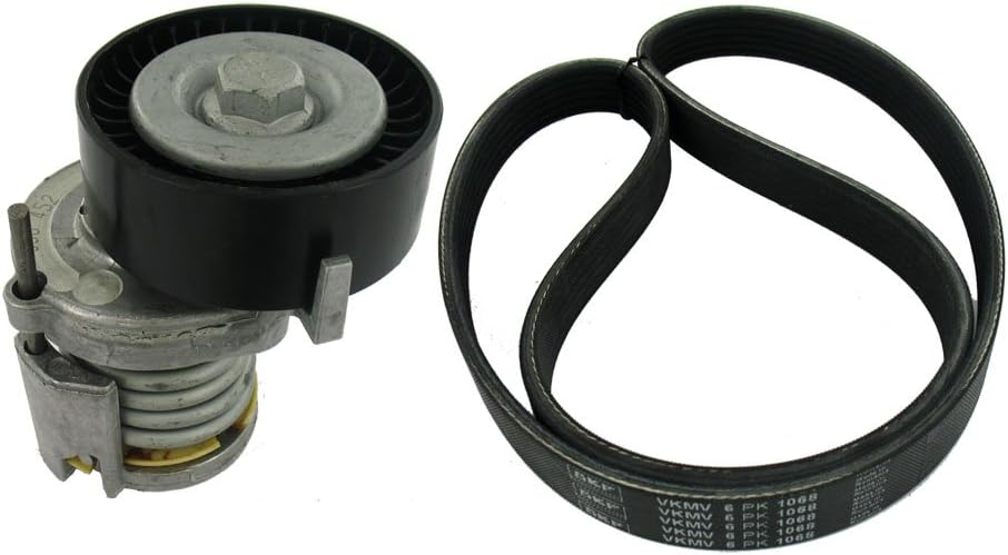 SKF VKMA 31202 Spannrollensatz für Nebentrieb