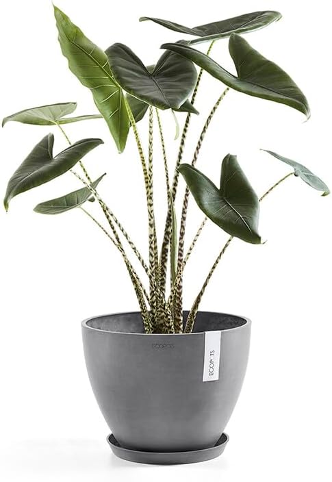 ECOPOTS Blumentopf Antwerp Grau - Durchmesser Ø 40 cm rund gross - Pflanzentopf aus Recycling Kunsts